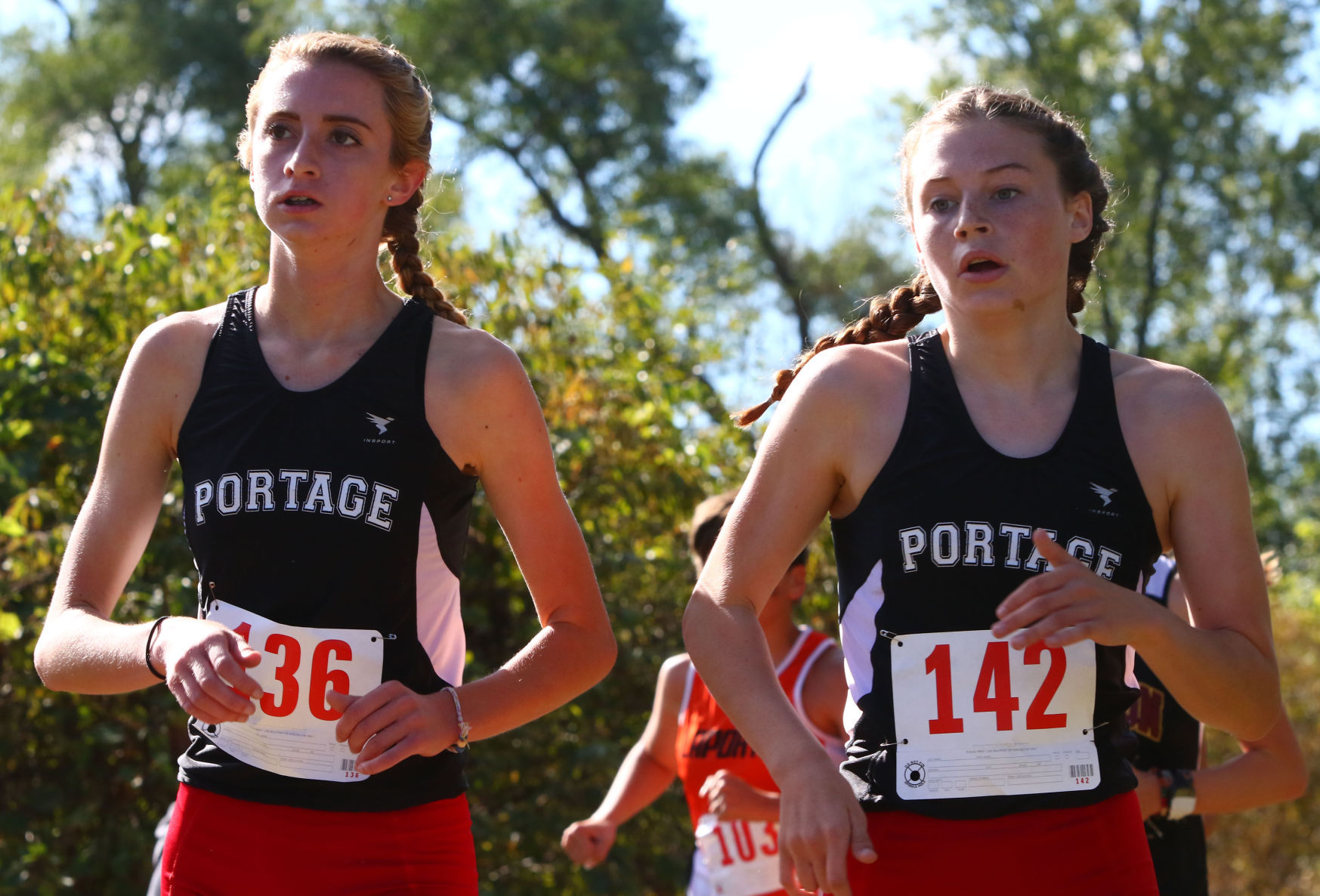 Gallery: Duneland Athletic Conference cross country meet